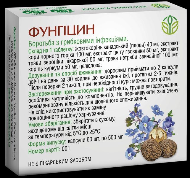 Комплексна програма для чоловіків при простатиті для чоловічого здоровя, Рослина Карпат 4435411111 фото