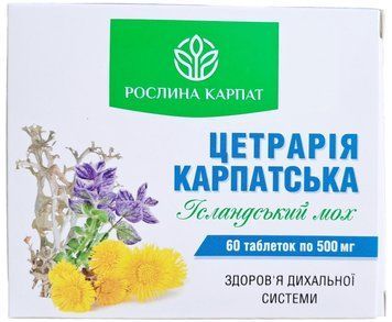 Цетрарія Карпатська Ісландський мох Рослина Карпат для дихальної системи 32 фото