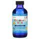 Рідкий риб'ячий жир для дітей від 1 до 6 років, Children's DHA, Nordic Naturals, полуниця, 530 мг, 119 мл 6138 фото 1