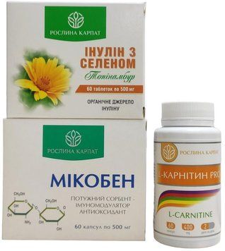 Ацетонемический синдром у детей &ndash; программа в острый период комплексная программа Рослина Карпат 555478 фото